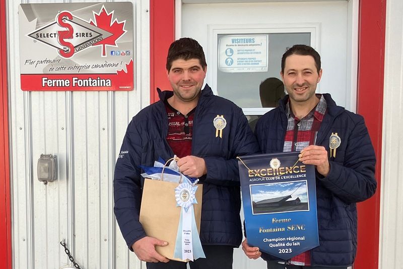 Une ferme de l’Estrie est la championne régionale pour la qualité de son lait